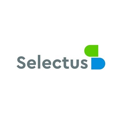 Selectsys Logo COMPTABLE – Alerte Job